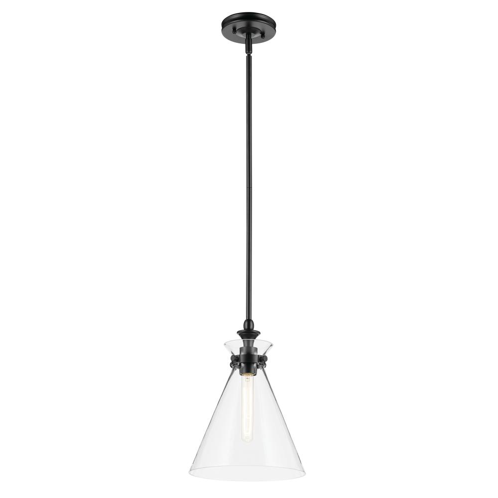Laria 10.5 Inch 1 Light Pendant with Clear Glass in Black