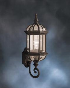 Barrie 21.75" 1 Light Outdoor Wall Light with Clear Beveled Glass in Black