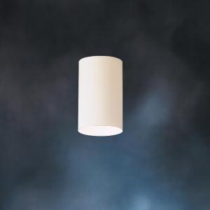 1 Light Outdoor Flush Mount