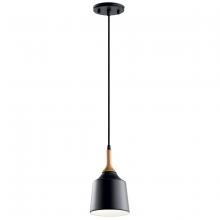 Kichler 43682BK - Danika 1 Light Mini Pendant Black