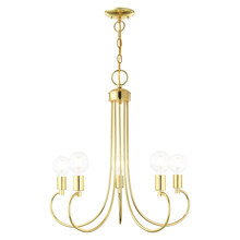 Livex Lighting 42925-02 - 5 Lt Polished Brass Chandelier