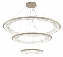 Lib & Co. US 12165-041 - Nettuno,3 Tier LED Chandelier, Painted Brushed Champagne