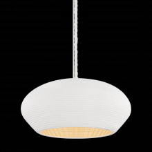 Hudson Valley Orange 2224-GSW - FERNDALE Pendant