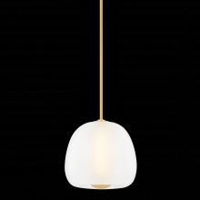 Hudson Valley Orange 3015-AGB - SCRANTON Pendant