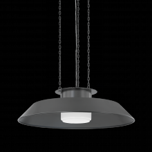 Hudson Valley Orange 8832-DB - WOODROW Pendant