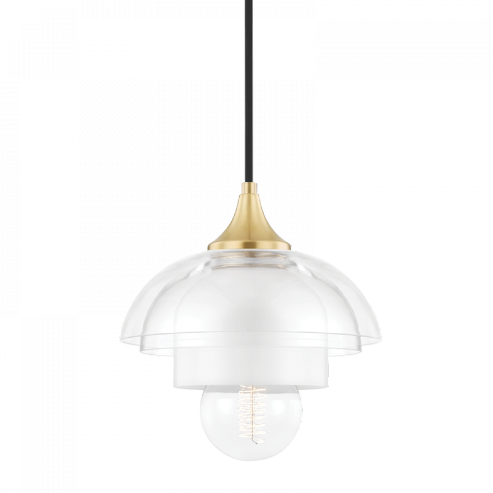1 Light Pendant