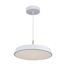 Artcraft AC6900WH - Pendant