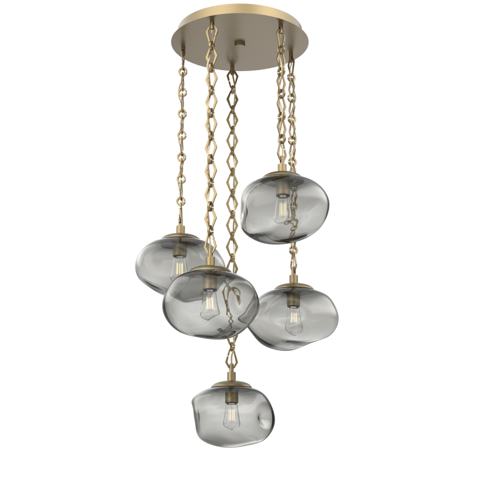 Nova Round 5pc Multi-Pendant with Chain (Bulb)