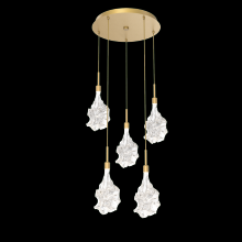 Hammerton CHB0059-05-GB-BC-C01-L3 - Blossom Round 5pc Multi-Pendant