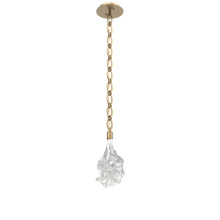 Hammerton LNB0059-01-GB-BC-CH2-L1 - Blossom Pendant with Chain