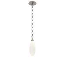 Hammerton LNB0071-15-BS-WL-CH2-L3 - Fiori Pendant with Chain