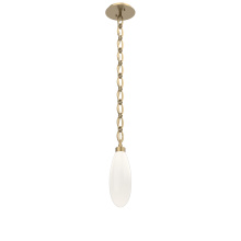 Hammerton LNB0071-15-GB-WL-CH2-L3 - Fiori Pendant with Chain