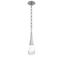 Hammerton LNB0078-01-BS-C-CH2-L3 - Raindrop Pendant with Chain
