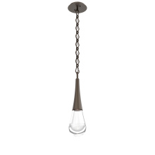 Hammerton LNB0078-01-FB-C-CH1-L1 - Raindrop Pendant with Chain