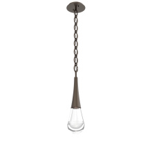 Hammerton LNB0078-01-FB-C-CH2-L1 - Raindrop Pendant with Chain