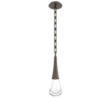 Hammerton LNB0078-01-FB-C-CH3-L1 - Raindrop Pendant with Chain