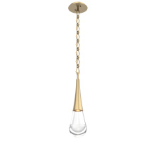 Hammerton LNB0078-01-GB-C-CH1-L3 - Raindrop Pendant with Chain