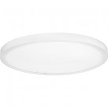 Progress P810018-030-30 - P810018-030-30 18IN EDGELIT FLUSH MOUNT