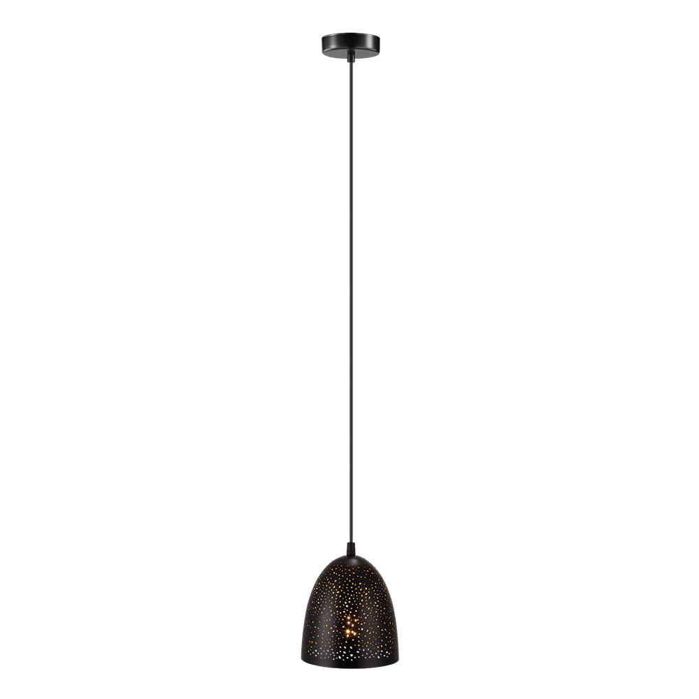 1L Pendant Light