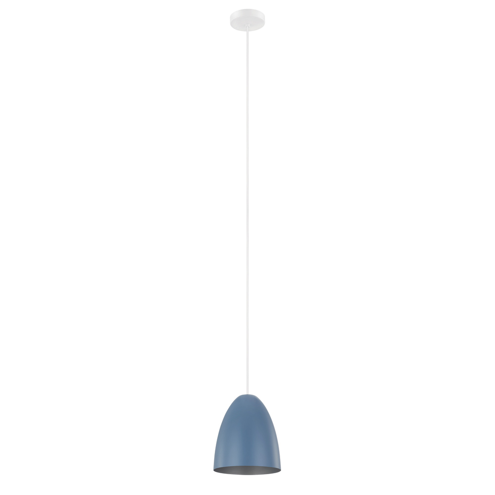 1L Pendant Light