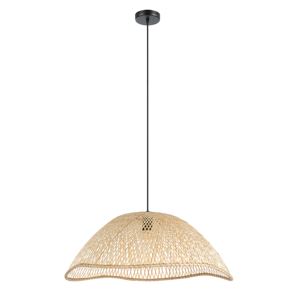 1L Pendant Light