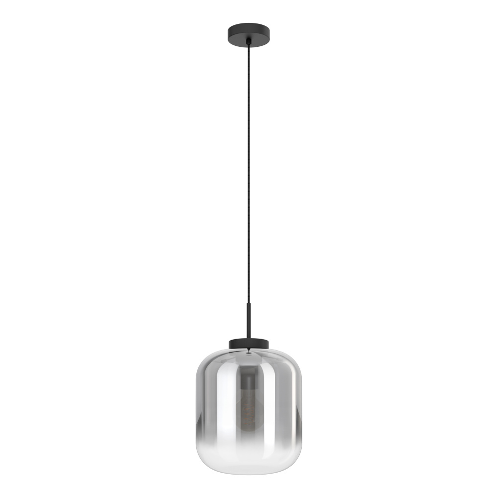 1L Pendant Light