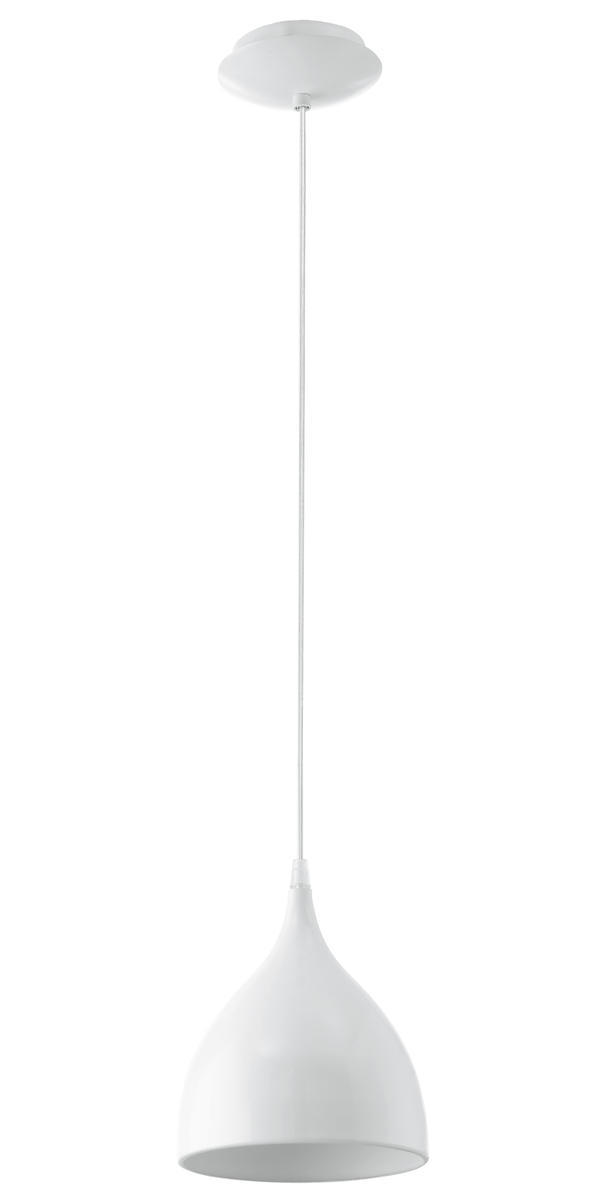 1L Pendant Light