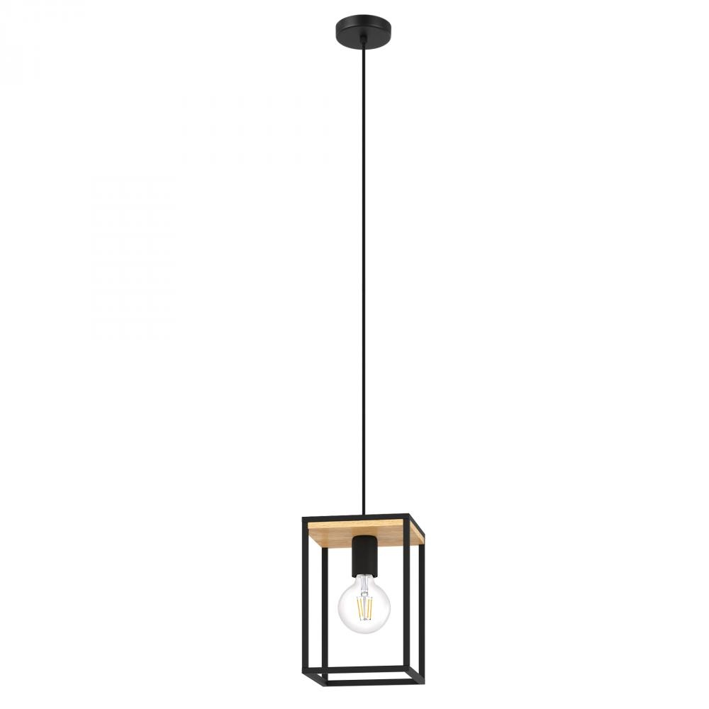 1L Pendant Light