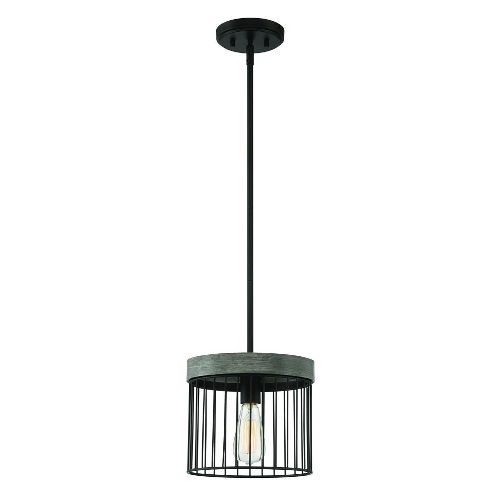 Aster 10" 1-Light Pendant