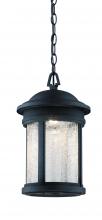 Designers Fountain LED31134A-ORB - 9" LED Hanging Lantern