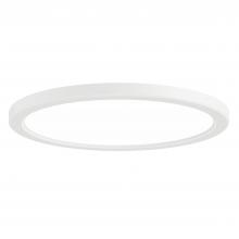 DVI DVP38138MW-3K - 12" 1CCT TWIST AND LOCK DISC WHITE