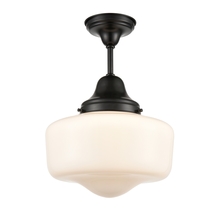 DVI DVP7511EB - SCHOOLHOUSE SEMI FLUSH MOUNT