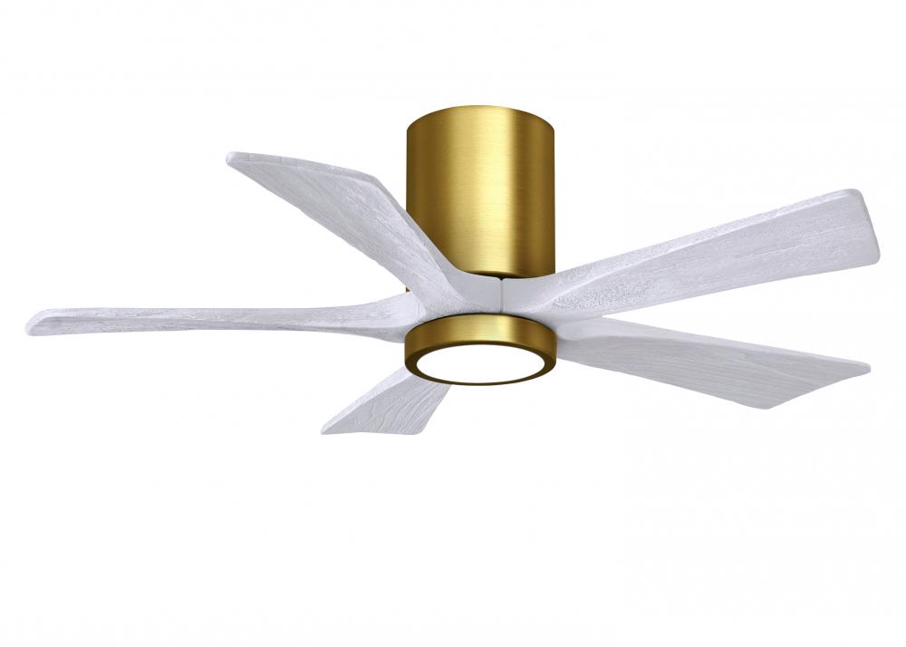 Irene - 5HLK - Brushed Brass - Matte White Blades - 42" Blades