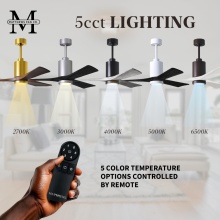 5CCTLighting-PA3.jpg