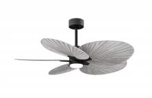 Matthews Fan Company AKTPLK-BK-BW - Alessandra Tropical - LK - Matte Black - Barn Wood Tone Blades - 10" Downrod