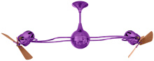 IV-LTPURPLE-WD_2.jpg