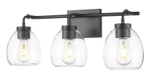 Acclaim Lighting IN40062BK - Dawes 24 in. Matte Black 3-Light Vanity With Clear Glass Globes