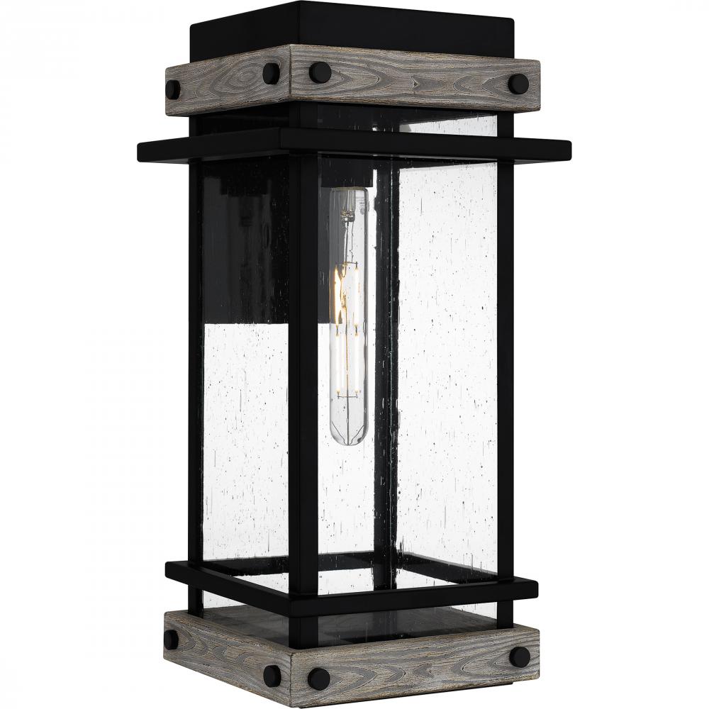 Strader 1-Light Matte Black Outdoor Wall Lantern
