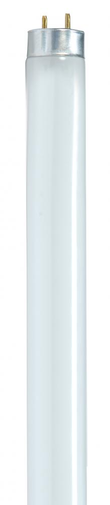 32 Watt; T8; Fluorescent; 5000K Natural Light; 85 CRI; Medium Bi Pin base; Shatterproof coated