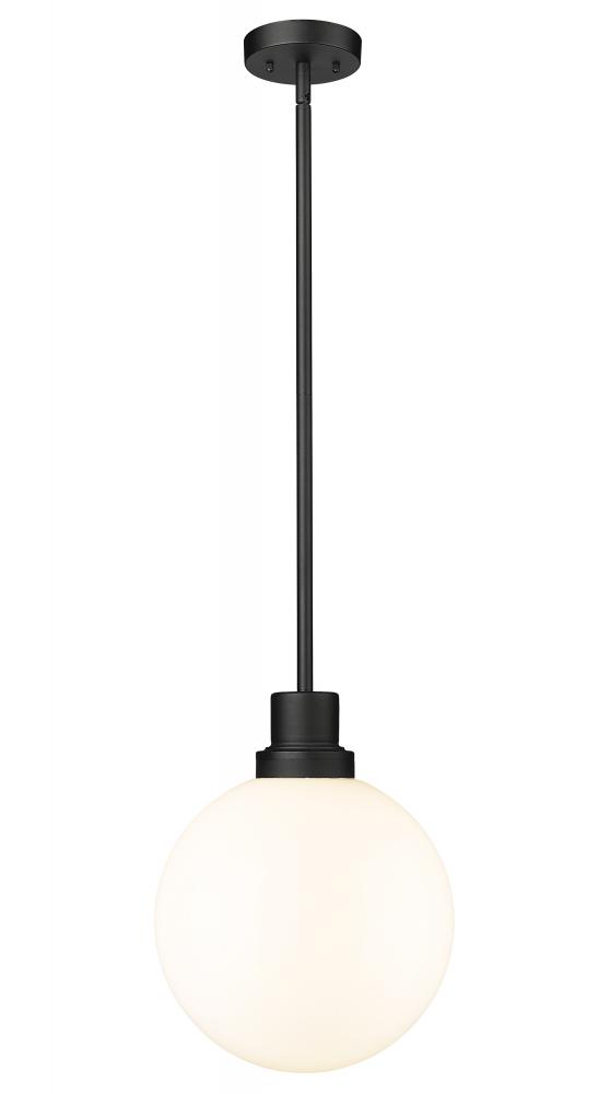 1 Light Outdoor Pendant