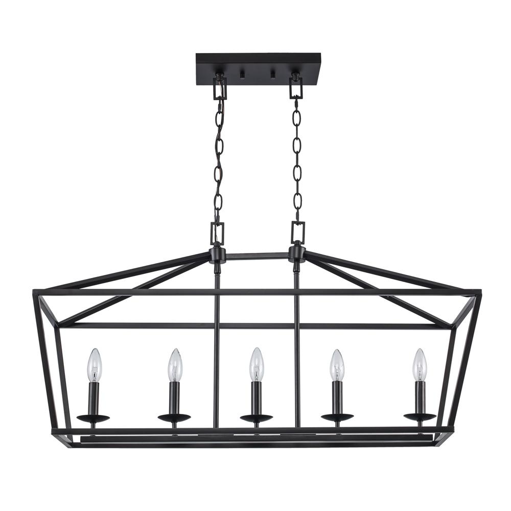 5LT PENDANT-BIRD CAGE-BK