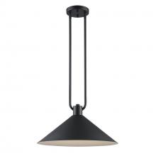Trans Globe 11762 BK - 1LT PENDANT-17" DOUBLE ROD-BK
