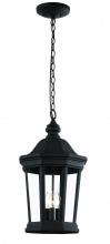 Trans Globe 40406 BK - 3LT HANGING LANTERN-LG-BK-BEVE