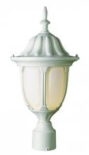 Trans Globe 4042 RT - 1LT POST-MED-OUTD-OPAL GLASS