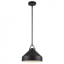Trans Globe PND-2242 BK - 1LT PENDANT-12" BUCKET-BK