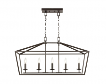 Trans Globe 10263 ROB - 5LT PENDANT-BIRD CAGE-ROB