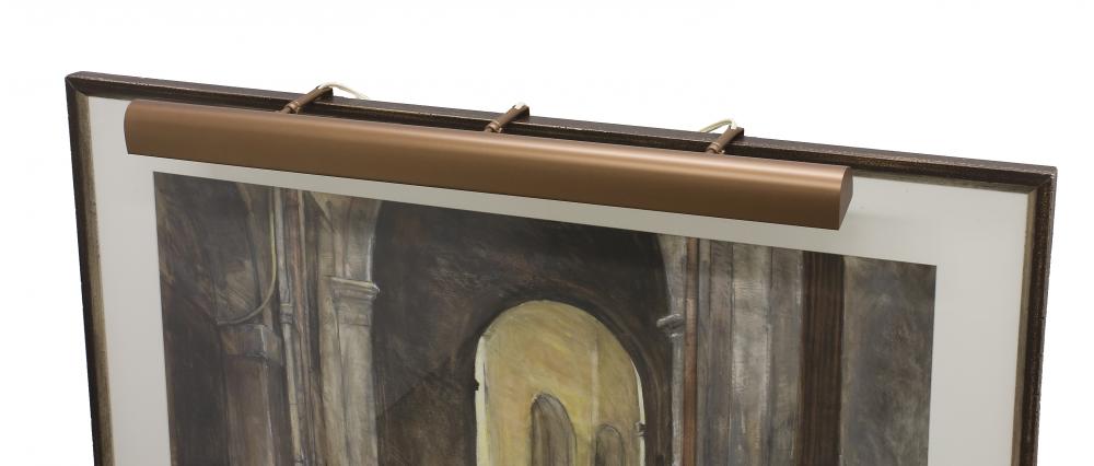 Classic Traditional Plug-In Picture Lights