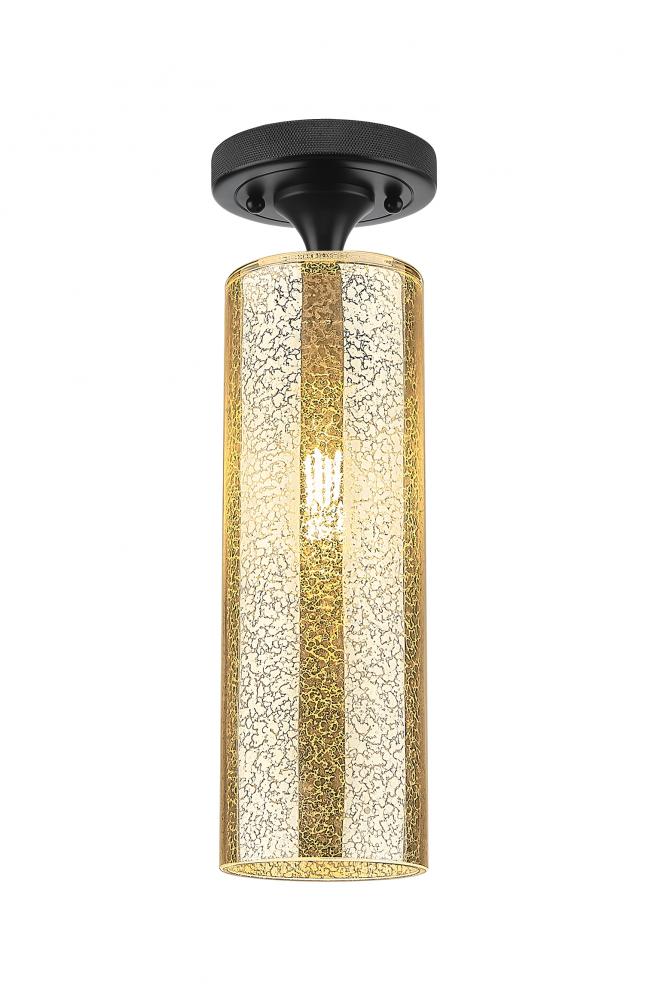 Crown Point - 1 Light - 5 inch - Matte Black - Flush Mount