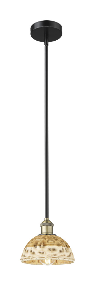 Bristol Natural II - 1 Light - 8 inch - Black Antique Brass - Stem hung - Mini Pendant