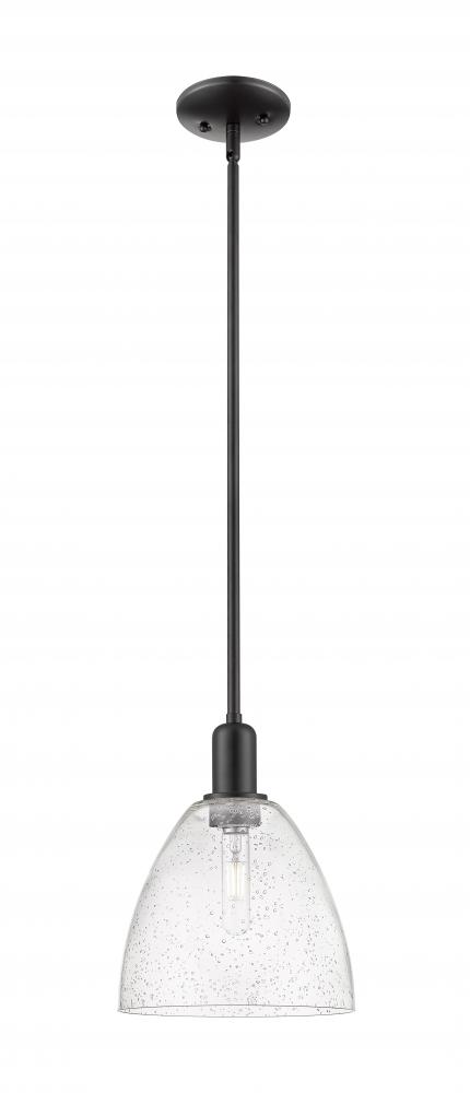 Bristol - 1 Light - 9 inch - Matte Black - Stem hung - Mini Pendant